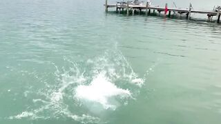 rakul preet hot swimming