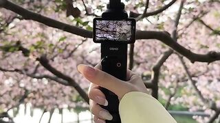 Life is Camaro Subscribe Febspot TikTok video Follow she