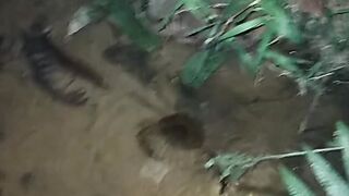 Crab catching