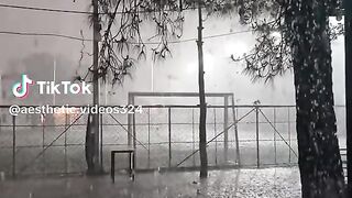 নিখোজ