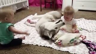 Babies Playing With Dog