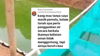 Apakah budidaya dikolam tanah perlu pergantian air kolam secara berkala