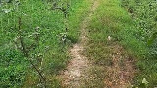 Village life