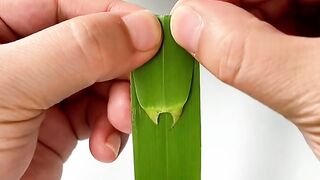 DIY leaf