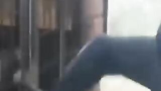 Animal and birds attack video