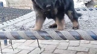 Playing time