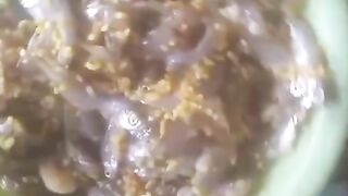 Ikan Samu Makanan Khas Banjar Kalimantan Selatan