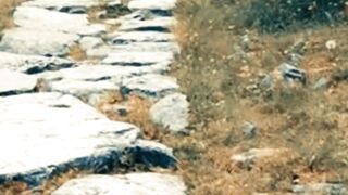 This One Minute Quote Will Change How You See Life Forever!