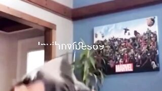 Big Fails