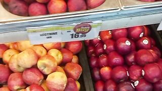 Apple ochard