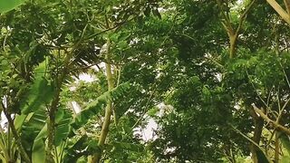 A mind-blowing breeze amidst the beautiful, melancholy nature. #nature #Wind #cool