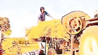 Farmers' season begins