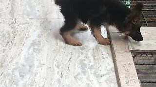 Blacky