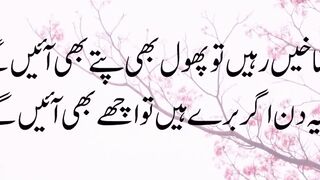 Sad Quotes in Urdu