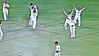 You like naseem shah
