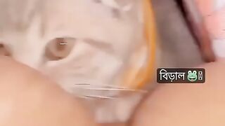 Lengends kahan hy