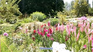 SKARDU the city of Mountains and Flowers