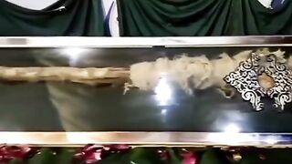 Islamic video/ most beautiful videoIslamic video/ most beautiful video