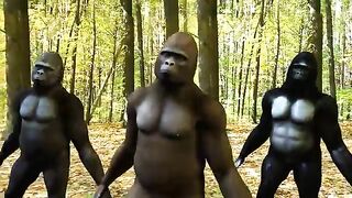 Ego - The Crazy Things We Do Official Music Video (Dancing Gorillas)