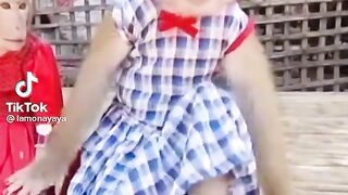 Funny video