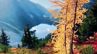 Beautiful view of nature 165