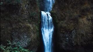 Beautiful view of nature 164