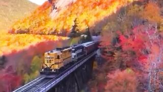 Beautiful view of nature 160