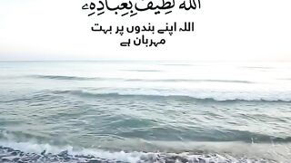 Tilawat e Quran