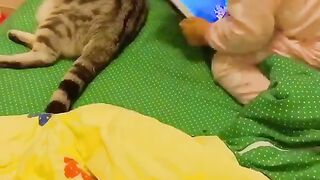 Funny And Cute Video. Girl with dog and cat