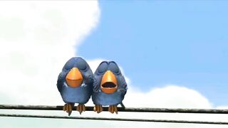 For tha birds
