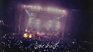 Song videos ll TikTok video