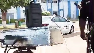 O "cantor boiadeiro" é a voz que ecoa nas vastas paisagens do sertão