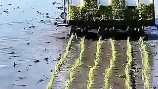 Funny Videos Gallery - A touch of modernity all over the world