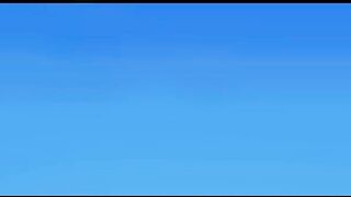 Short animate