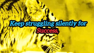 Keep struggling silently for