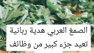 الكلى ماذا تحب.. فضلوه وطبقوه وانشروه بعد استشارة الطبيب المختص