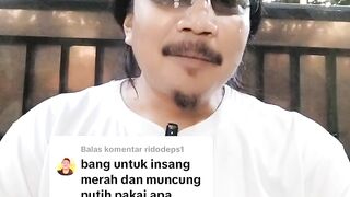 Cara mengobati penyakit Moncong Putih dan Insang Merah pada ikan lele