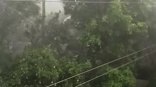 ঝড় আর ঝড়