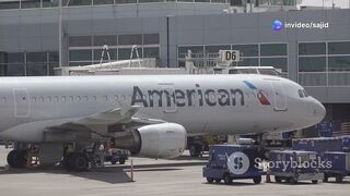 Case Study on American Airlines Flight 587