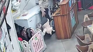 Fun Kids Video