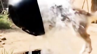 Fun Video