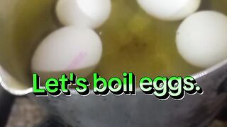 Let's cook eggs with carrot coriander