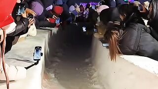 Fun Video