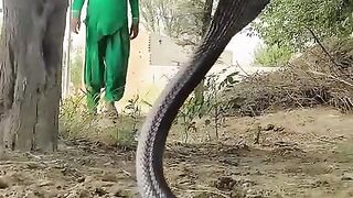 Fun Video