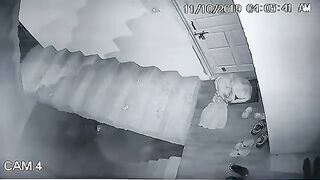 Leopard attacks neighbours dog.