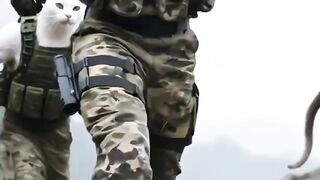 chosen soldier