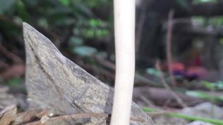 নবীজি (স.) মাশরুম নিয়ে কী বলেছেন❓????