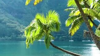 Beautiful nature