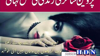 parveen shakir biography