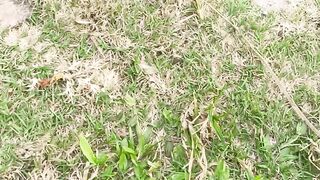 ফানি ভিডিও